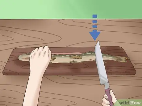 Очистка и разделка северной щуки Шаг 13