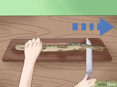 Очистка и разделка северной щуки Шаг 14