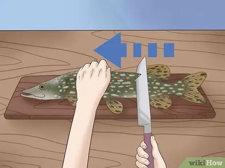 Очистка и разделка северной щуки Шаг 3