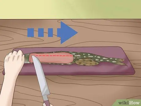 Очистка и разделка северной щуки Шаг 8