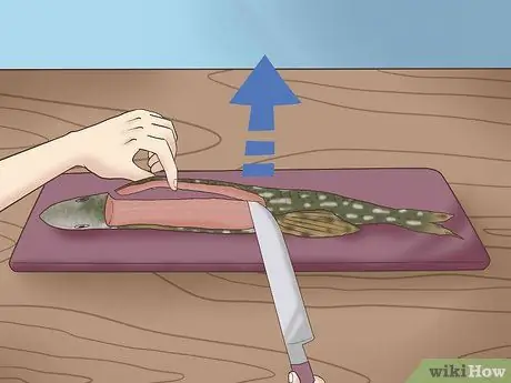 Очистка и разделка северной щуки Шаг 9