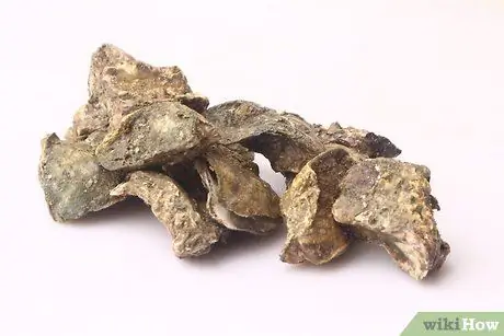 Хранение свежих устриц Шаг 1