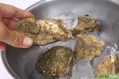 Хранение свежих устриц Шаг 3