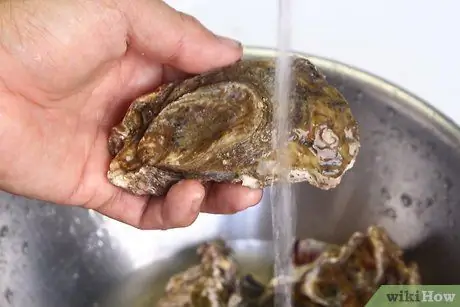 Хранение свежих устриц Шаг 7