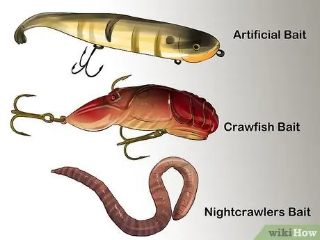 Поймать сома Шаг 3