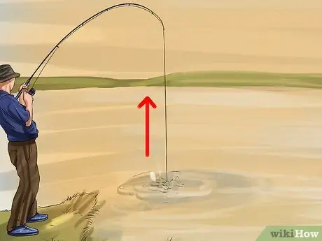 Поймать сома Шаг 9