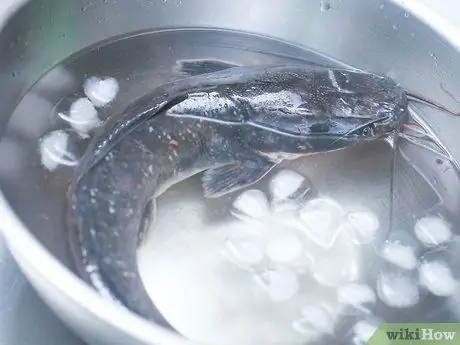 Сом гриль Шаг 8