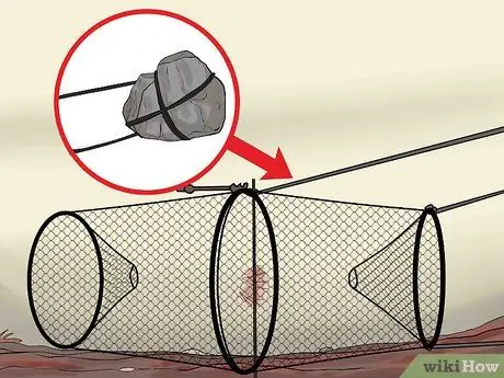 Наживка и использование ловушки для гольяна Шаг 6