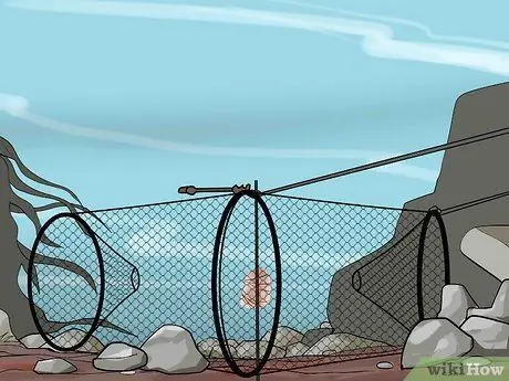 Наживка и использование ловушки для гольяна Шаг 7