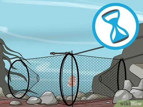 Наживка и использование ловушки для гольяна Шаг 9