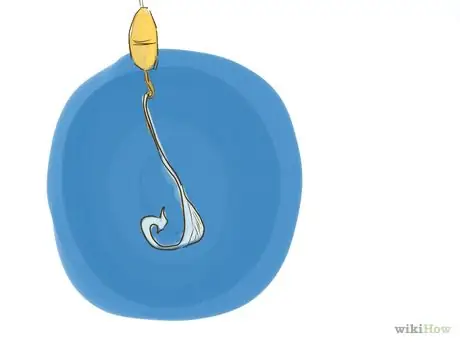 Fish for Sturgeon Step 2