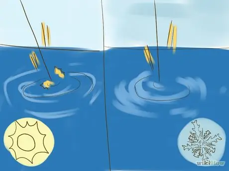 Рыба для осетровых рыб Step 5