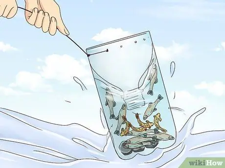 Сделать ловушку для гольяна Шаг 14