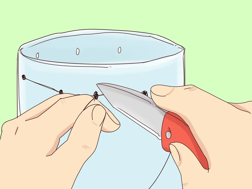 Как сделать ловушку для гольяна: 15 шагов (с иллюстрациями)