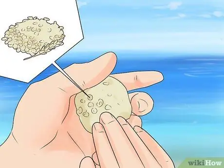 Ловля кефали Шаг 14