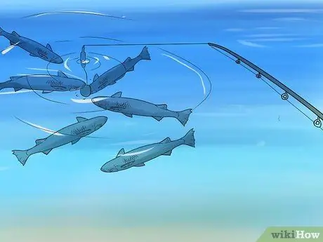 Ловля кефали Шаг 15