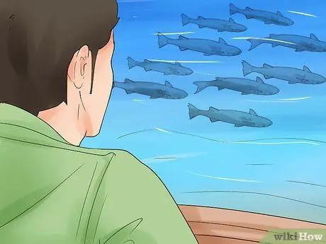 Ловля кефали, шаг 4