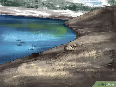 Поймать озерную форель Шаг 11