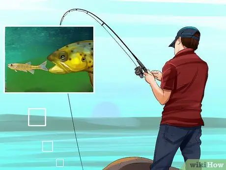 Поймать озерную форель Шаг 12