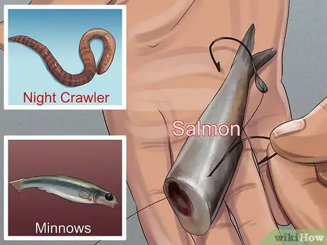 Поймать озерную форель Шаг 3