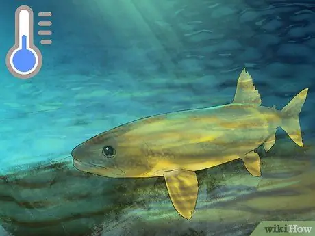 Поймать озерную форель Шаг 9