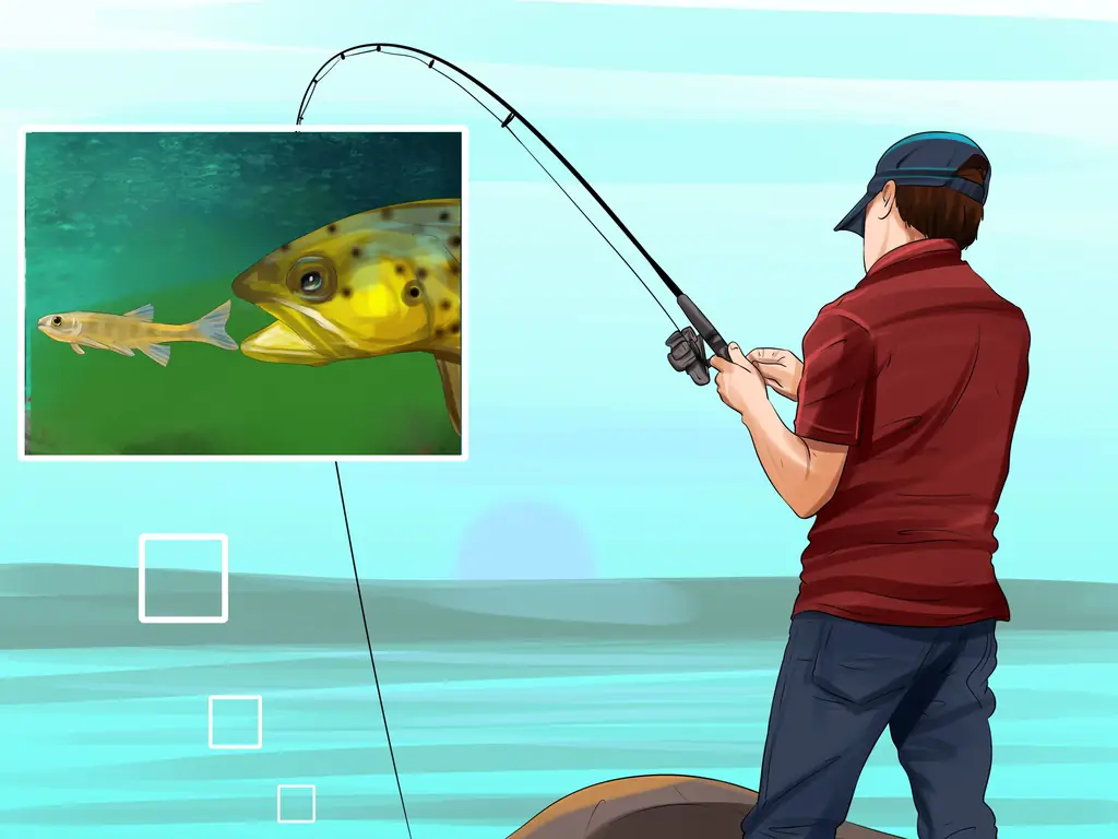 Как поймать озерную форель: 12 шагов (с иллюстрациями)