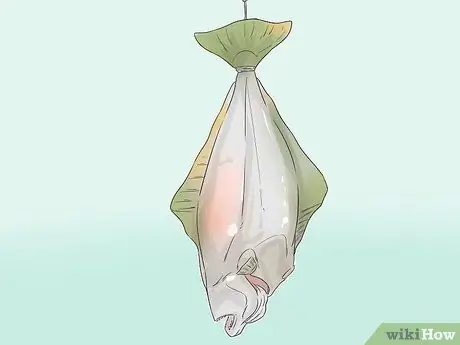 Поймать палтуса Шаг 10