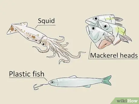 Поймать палтуса Шаг 2