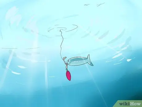 Поймать палтуса Шаг 5