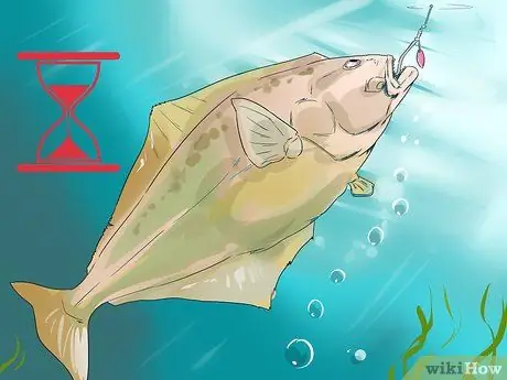 Поймать палтуса Шаг 6