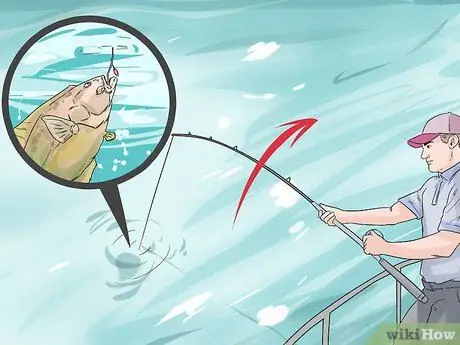 Поймать палтуса Шаг 7