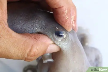 Очистить осьминога, шаг 3