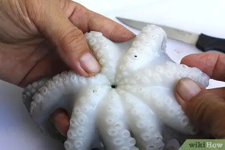 Очистить осьминога, шаг 5