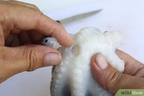 Очистить осьминога Шаг 7