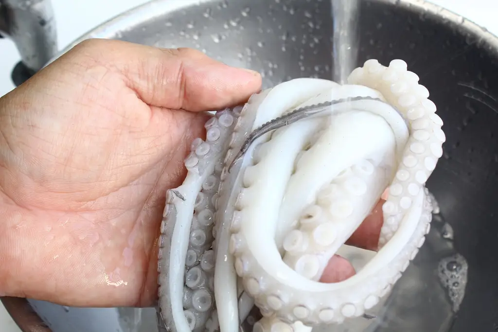 Как очистить осьминога: 10 шагов (с иллюстрациями)