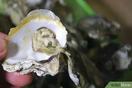 Готовим устрицы Шаг 4