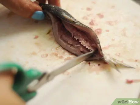 Готовим сардины Шаг 4 Пуля 3