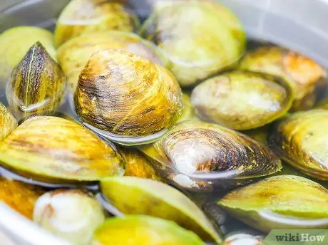 Приготовить похлебку из моллюсков из Новой Англии, шаг 1