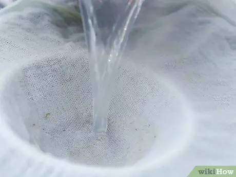 Приготовить похлебку из моллюсков из Новой Англии, шаг 3