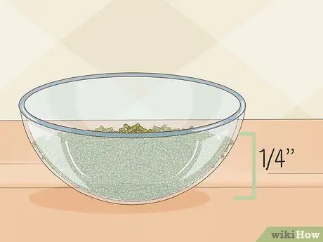 Ростки фасоли мунг Шаг 2