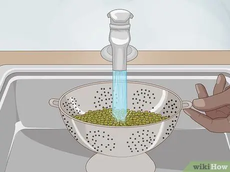 Ростки фасоли мунг Шаг 3