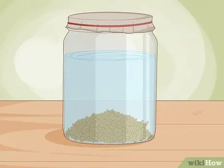 Ростки фасоли мунг Шаг 5