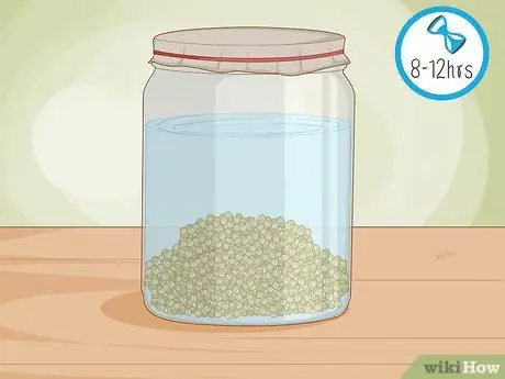 Ростки фасоли мунг Шаг 6