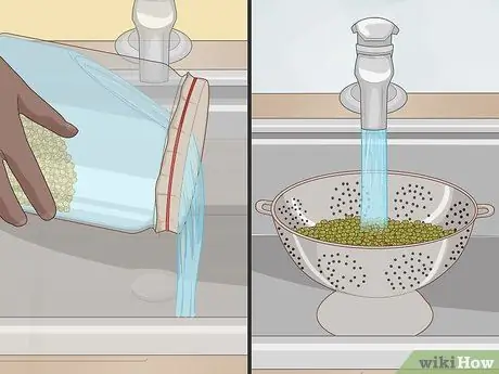 Ростки фасоли мунг Шаг 7