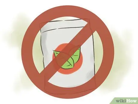 Выращивание фасоли Шаг 12