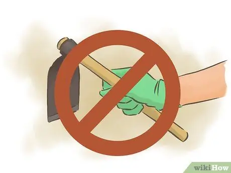 Выращивание фасоли Шаг 13