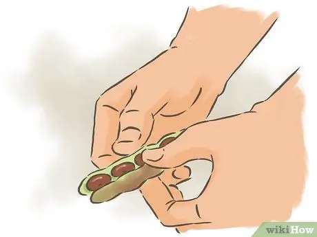 Выращивание фасоли, шаг 17