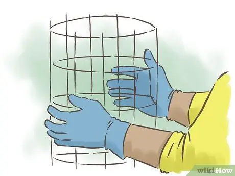 Выращивание фасоли Шаг 4