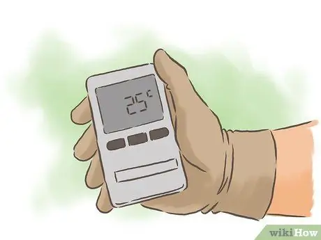 Выращивание фасоли Шаг 5