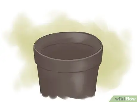 Выращивание фасоли Шаг 8